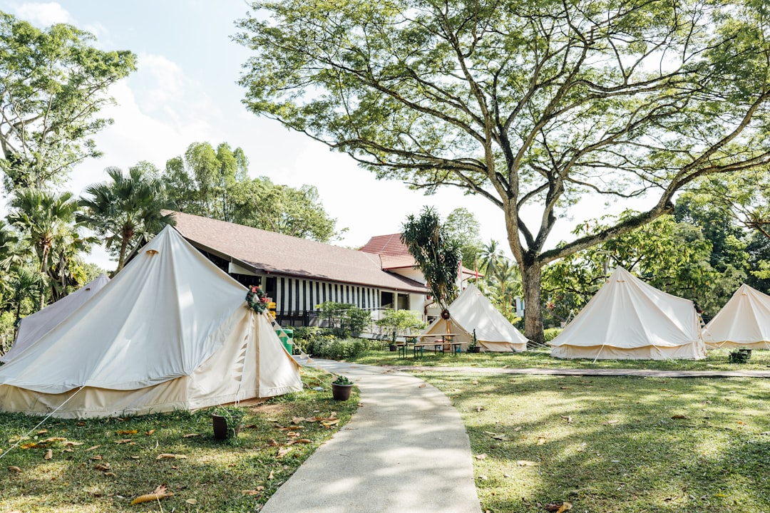 a-group-of-tents-sitting-on-top-of-a-lush-green-field-y5bwcyrfba8
